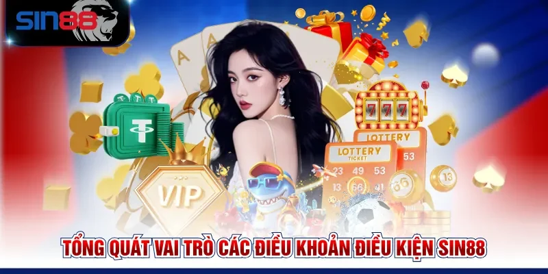 Tổng quát vai trò các điều khoản điều kiện SIN88